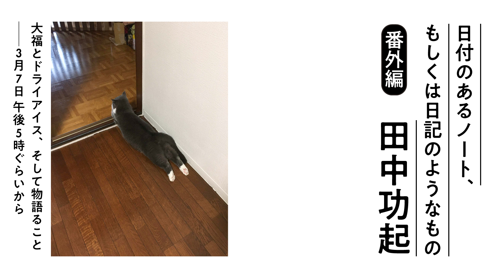 大福とドライアイス、そして物語ること　3月7日午後5時ぐらいから　日付のあるノート、もしくは日記のようなもの　番外篇｜田中功起