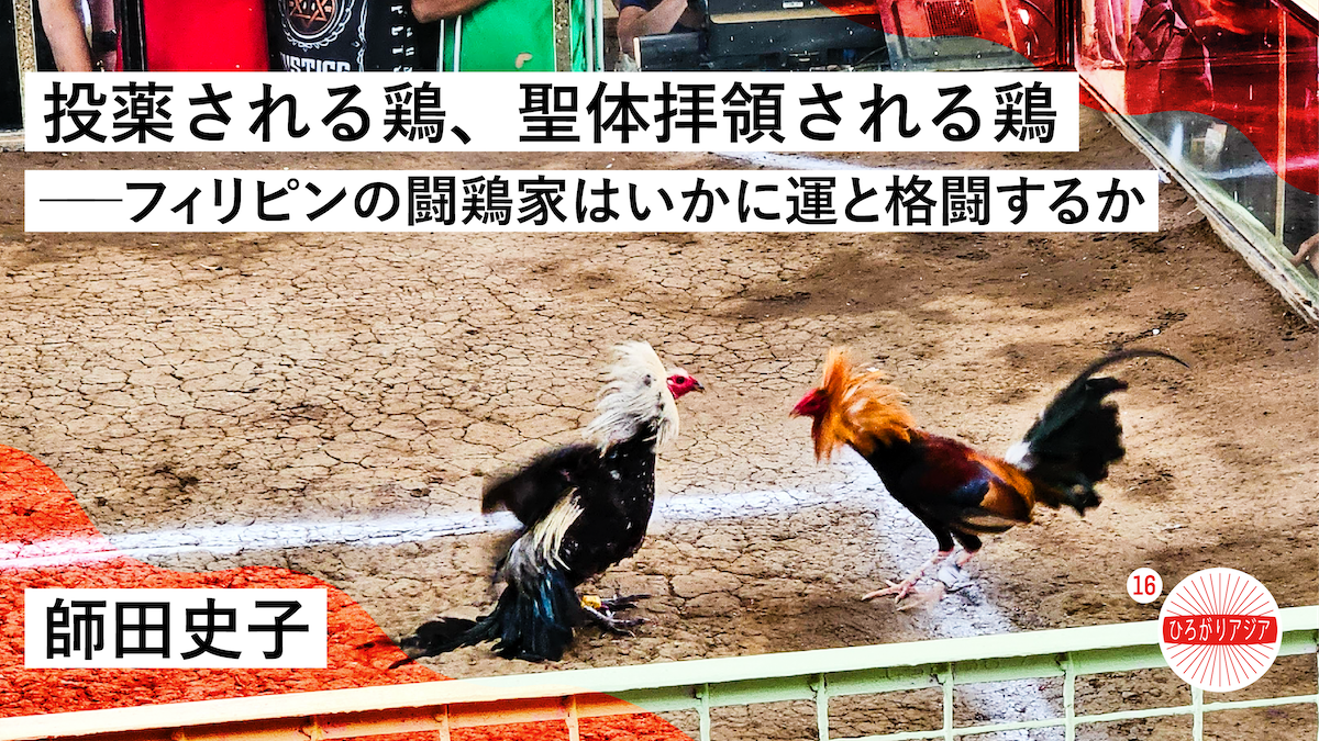 投薬される鶏、聖体拝領される鶏